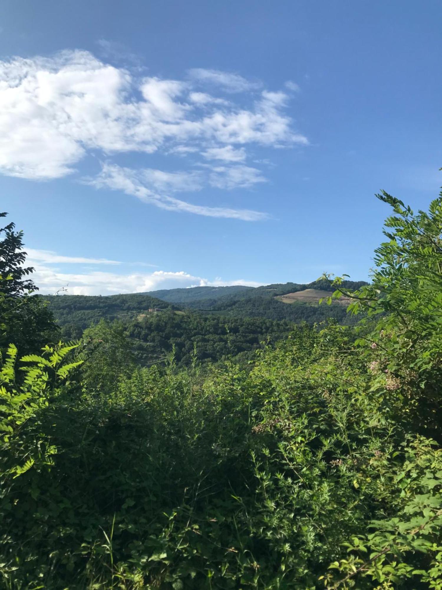 Enam Room Kojsko Buitenkant foto